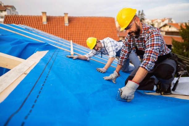 Best New Roof Installation  in West Point, GA